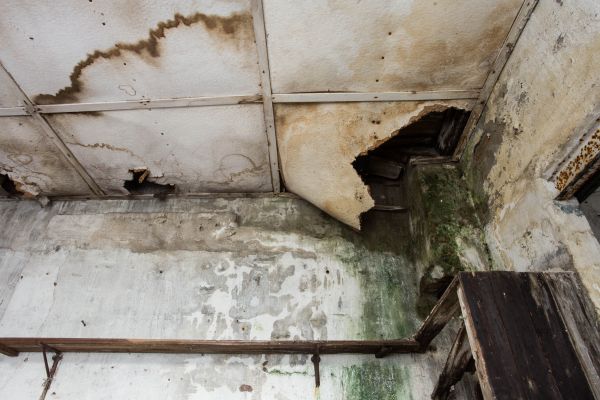 Cost of Water Damage Service in Carrollton