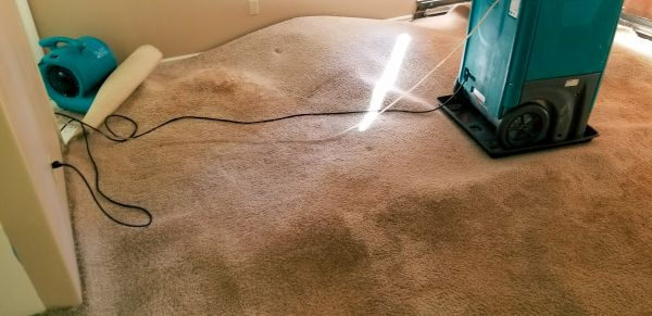Cost of Flood Damage Cleanup in Carrollton