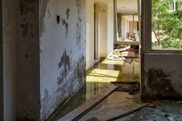 Cost of Water Removal Service in Carrollton
