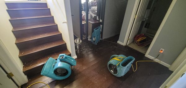 Cost of Water Damage Remediation in Carrollton