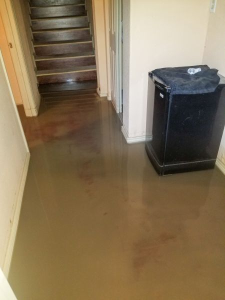 Cost of Emergency Water Removal in Carrollton