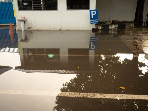 Cost of Storm Damage Repair in Carrollton