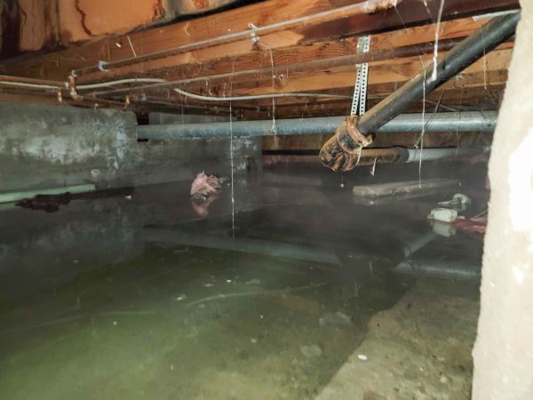 Cost of Crawlspace Water Restoration in Carrollton